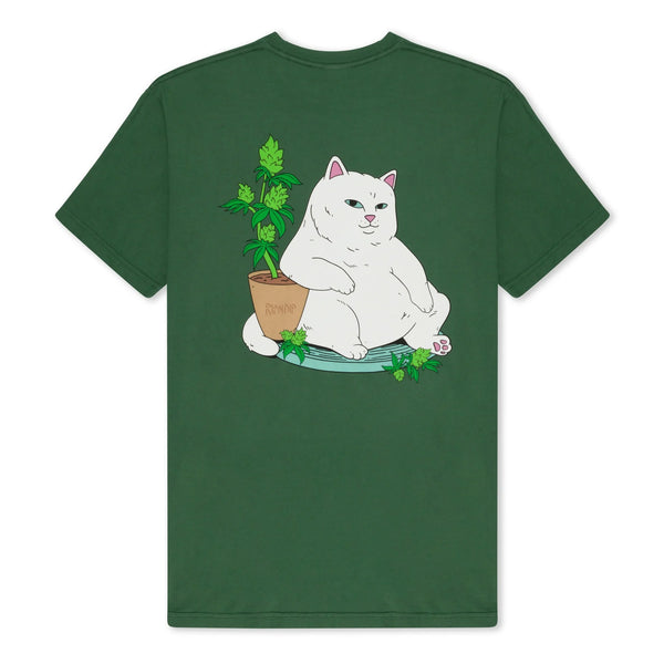 RIPNDIP FLOWER BOY TEE OLIVE