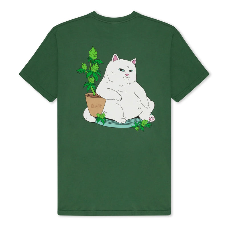 RIPNDIP FLOWER BOY TEE OLIVE
