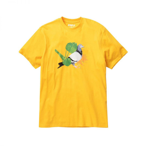 STAPLE PIGEON PARADISE PIGEON TEE GOLD