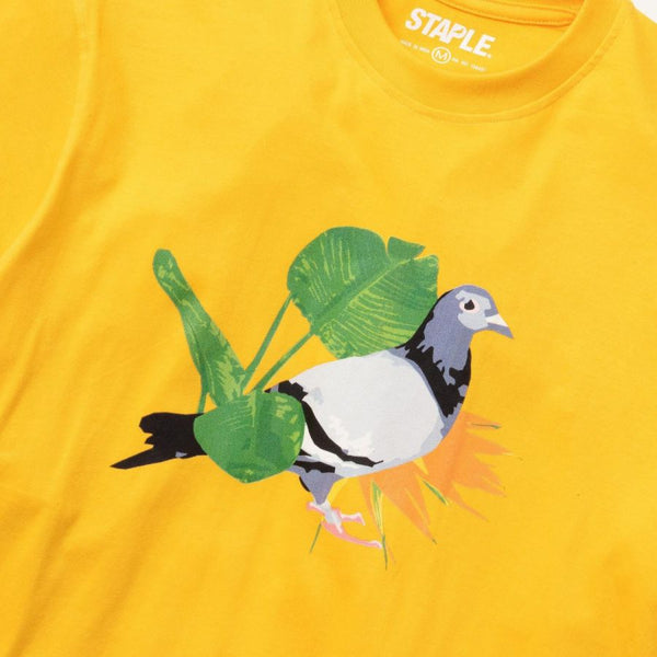 STAPLE PIGEON PARADISE PIGEON TEE GOLD