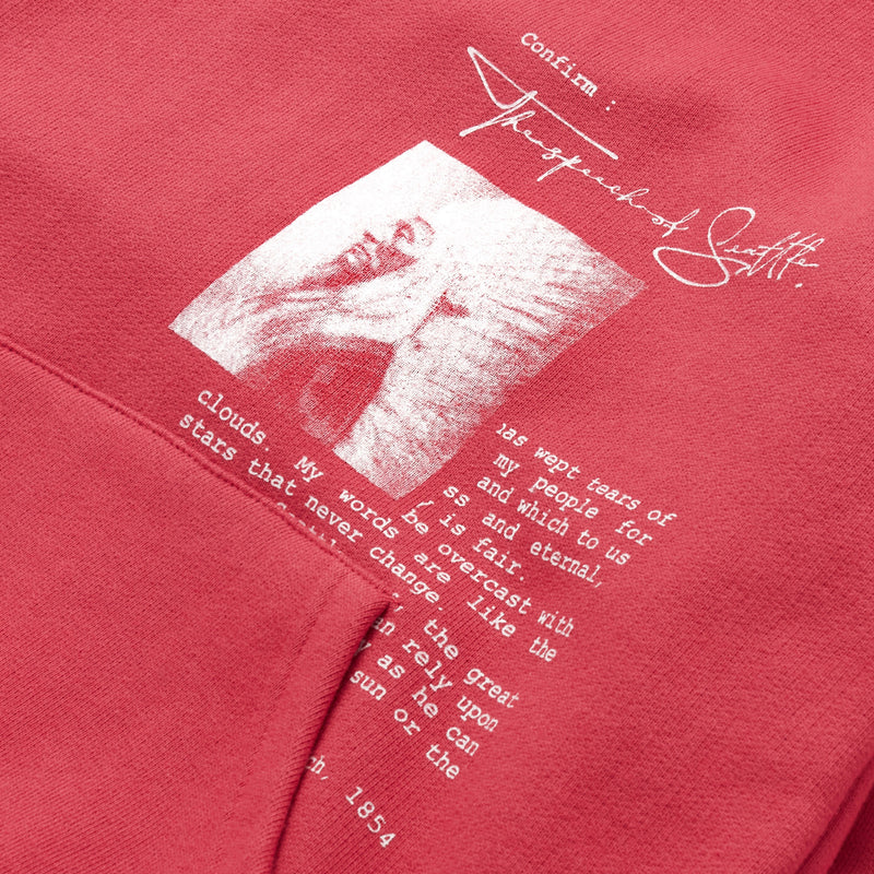 TEE LIBRARY LETTER FOR NATURE HOODIE CHERRY